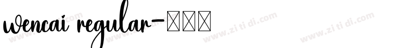 wencai regular字体转换